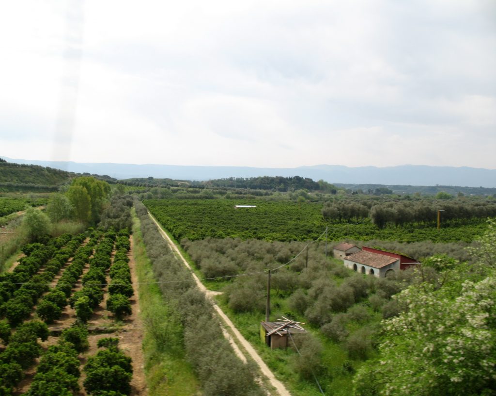 Proposte avanzate per la piana di Gioia Tauro