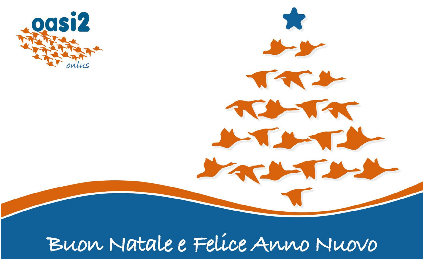 Buone feste da Oasi2!