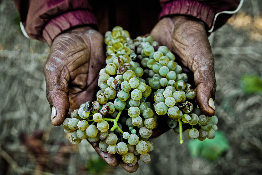 Su.Pr.Eme. mostra il volto umano dell’agricoltura