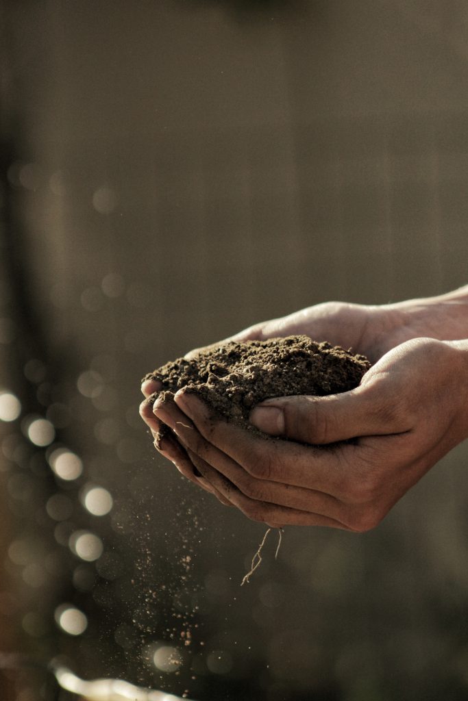 Rete del lavoro agricolo di qualità, seminario a Roma